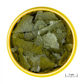 JBL PRONOVO SPIRULINA FLAKES M 250ml -Осн. храна за раст. риби на люспи Spirulina размер М за рибки 8 – 20 см
